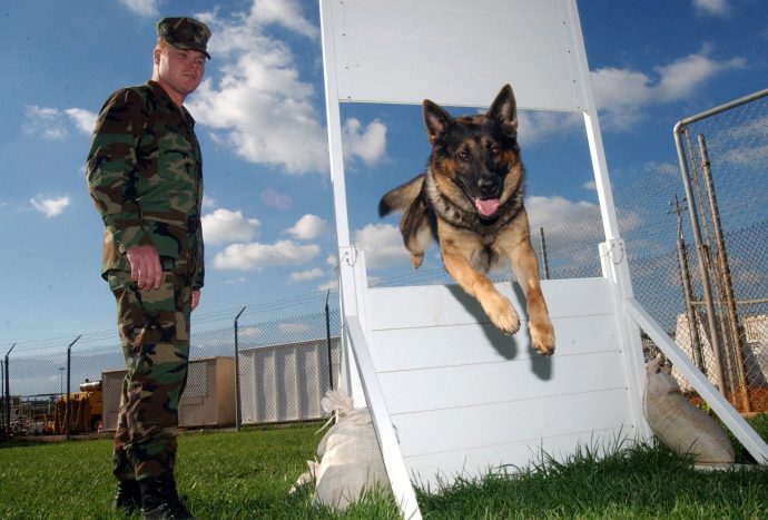 a soldier stands by as Geeta jumps through an object shaped like a window