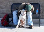 a man on a bench speaks into his dog's ear